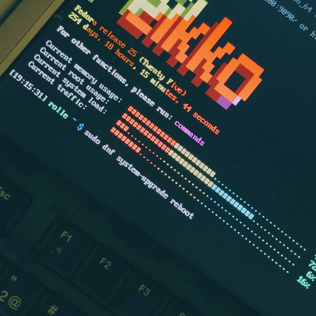 A command line interface showing statistics in memory usage, uptime over 250 days.